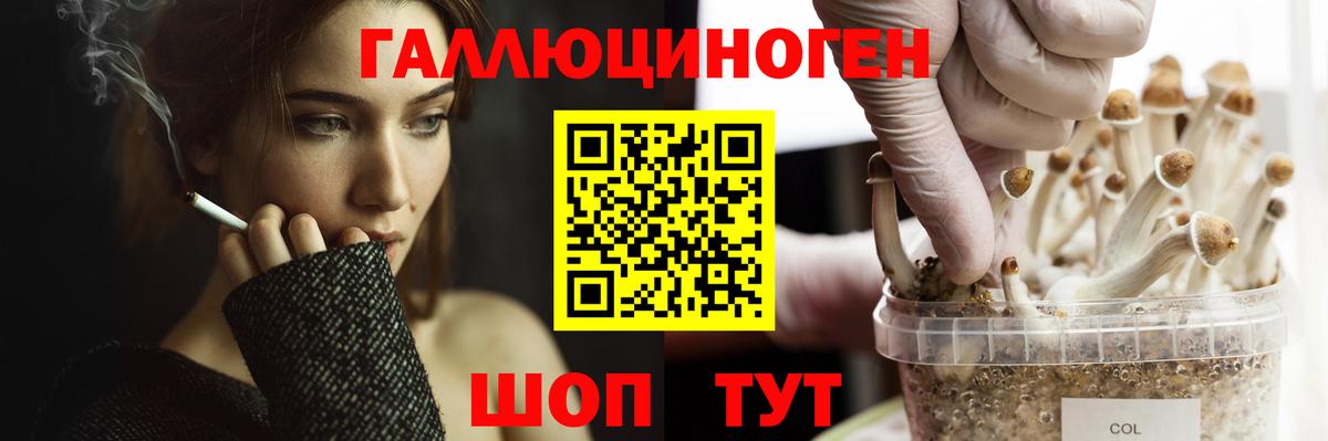 Галлюциногенные грибы Psilocybine cubensis Сегежа